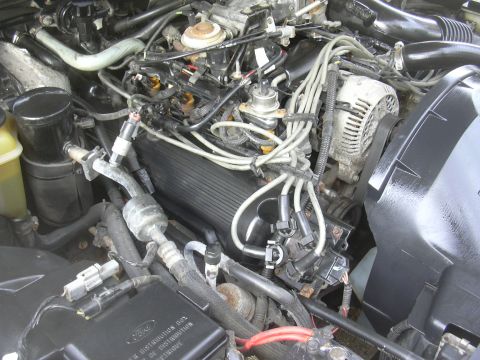 1997 Ford Crown Victoria - Close-up view of a vehicle's engine compartment, showing intricate wiring and mechanical parts.