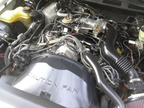 1997 Ford Crown Victoria - Engine bay detail of a 1997 Ford Crown Victoria, highlighting the V8 engine components and fan shroud.