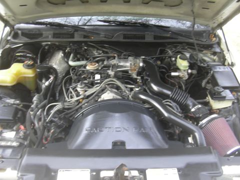 1997 Ford Crown Victoria - The engine bay of a 1997 Ford Crown Victoria, an aftermarket air intake system.