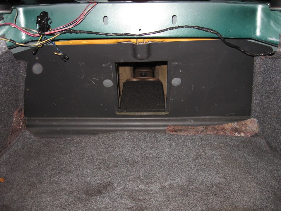 Trunk interior with speaker enclosure and wiring
