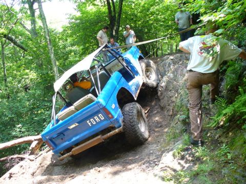 1978 Ford Bronco - Hawk on ledge