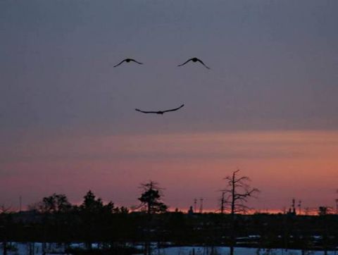 1993 Ford Bronco - Birds create a smiley face in the sky during a colorful sunset.