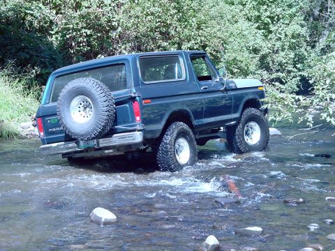 1979 Ford Bronco - A 1979 Ford Bronco navigates a rocky stream bed surrounded by lush green foliage.