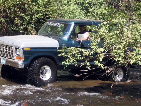 1979 Ford Bronco - Ford Bronco navigating a water crossing, with foliage partially covering the vehicle.