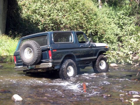 1979 Ford Bronco - This classic Ford Bronco navigates a rocky stream bed surrounded by lush green foliage.