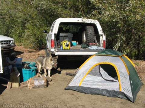 1990 Ford Bronco - white pickup with its tailgate down and a spare tire in the bed sits at a campsite next to a green dome tent, with a dog standing nearby.