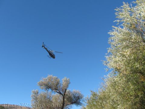 1990 Ford Bronco - dark helicopter banks against a deep blue sky, framed beside a sunlit willow tree.
