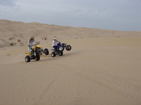 1986 Toyota Hilux - Riders on ATVs navigate the sandy terrain of the dunes, kicking up dust as they ascend.