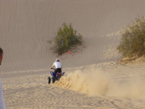 1986 Toyota Hilux - A person rides a quad bike through the sand dunes, creating a dust cloud.