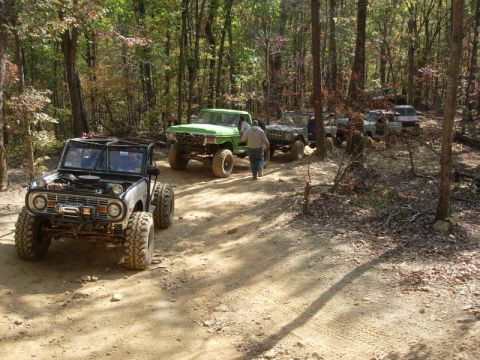 1978 Ford Bronco - A convoy of modified 4x4s, including a 1978 Ford Bronco, navigates a forest trail.