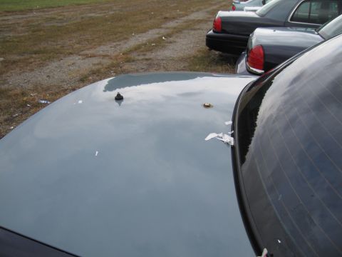 1991 Ford LTD Crown Victoria - The hood of a 1991 Ford Crown Victoria LTD is shown, with two other similar vehicles parked in the background.