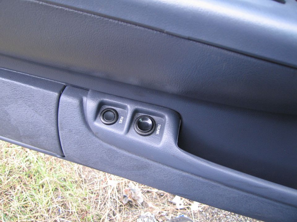 Interior door panel with fuel and trunk release buttons