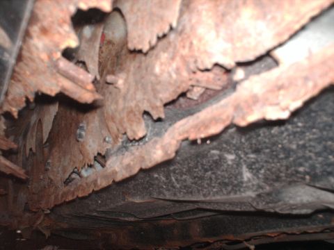 1996 Ford Probe - The undercarriage of this vehicle shows extensive rust damage, indicating significant deterioration.