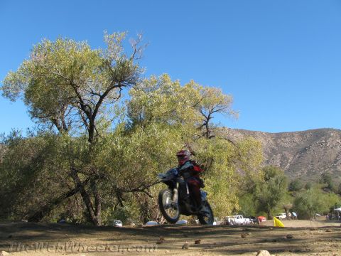 1990 Ford Bronco - dirt bike rider in red gear rides across open dirt beside a large tree with mountains and blue sky behind.