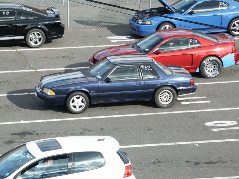 2001 Mercury Grand Marquis - Several cars are parked on asphalt, including a dark blue Ford Mustang, a red Mustang, a blue Mustang with its hood up, and a white car.