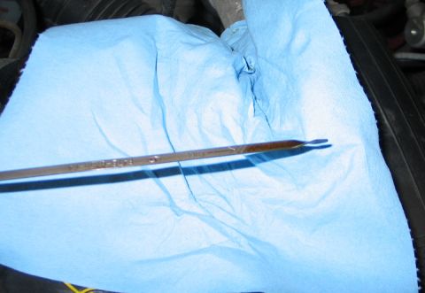 1994 Ford Bronco - An oil dipstick is shown against a blue paper towel, with the oil level clearly visible.