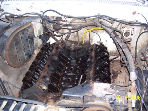 1978 Ford Bronco - Top-down view into an engine bay with the carburetor, intake manifold and valve covers stripped off a V8, dated 11/16/2006, exposing both c…