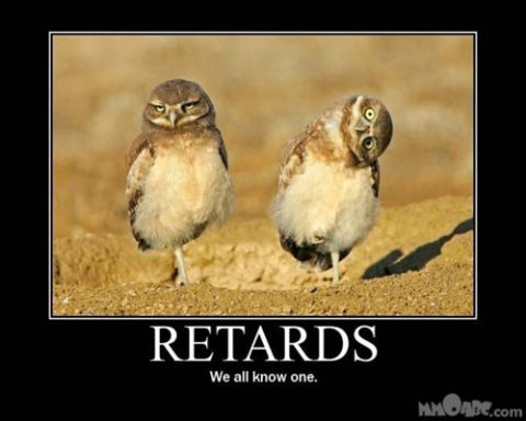1990 Ford Bronco - Demotivational poster two owls with an offensive caption and website URL.
