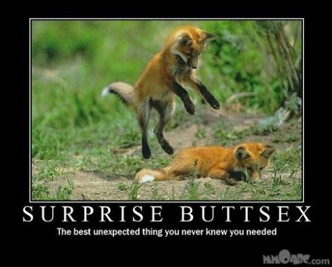 1990 Ford Bronco - Two young foxes interact in a grassy field, with one playfully leaping over the other.