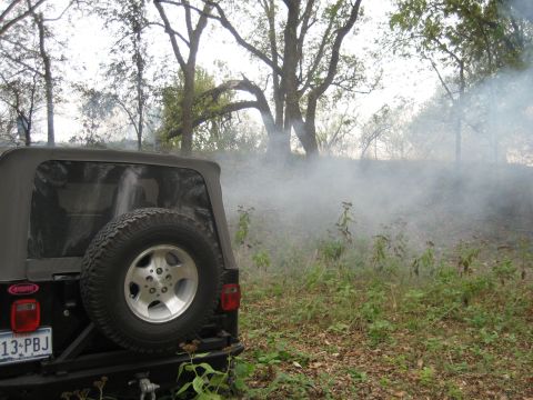 2001 Jeep Wrangler - A black Jeep Wrangler is parked in a wooded area with smoke billowing in the background.
