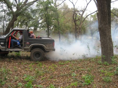 2001 Jeep Wrangler - This off-road truck is driving through a wooded area, emitting a large cloud of smoke from its exhaust.
