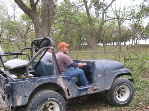 2001 Jeep Wrangler - A blue Jeep CJ, likely from the 1970s, is seen from the side with two occupants enjoying a drive through a wooded area.