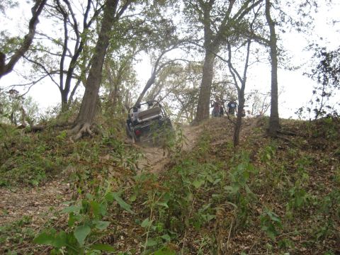 2001 Jeep Wrangler - An off-road vehicle navigates a steep, wooded incline.