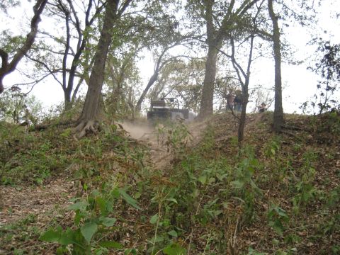 2001 Jeep Wrangler - An off-road vehicle navigates a dirt path, kicking up dust amidst trees and foliage.