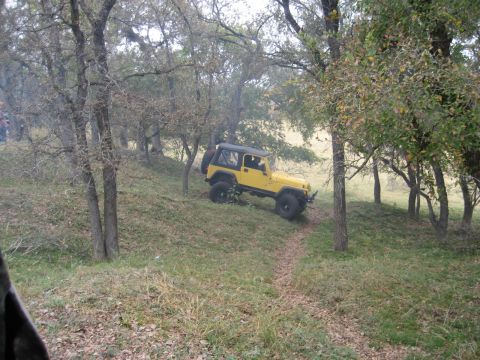 2001 Jeep Wrangler - A yellow Jeep Wrangler navigates a trail through a wooded landscape.