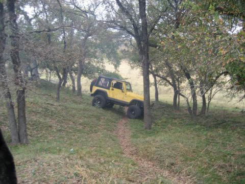 2001 Jeep Wrangler - A yellow 2001 Jeep Wrangler navigates a wooded trail, its tires gripping the uneven terrain.