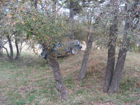 2001 Jeep Wrangler - Jeep Wrangler seen off-road, partially hidden by trees on a grassy slope.