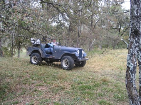 2001 Jeep Wrangler - A blue Jeep CJ-5 is parked in a grassy area surrounded by trees, with two occupants visible.