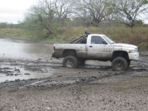 2001 Jeep Wrangler - A white pickup truck with a roll bar is stuck in thick mud, with water and debris around it.