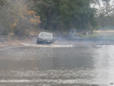 2001 Jeep Wrangler - SUV navigating a water crossing with trees and brush visible on the bank.