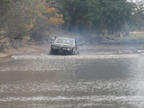 2001 Jeep Wrangler - A black pickup truck navigates through a muddy, water-filled area with trees in the background.