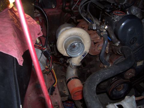 1984 Ford Mustang photo
