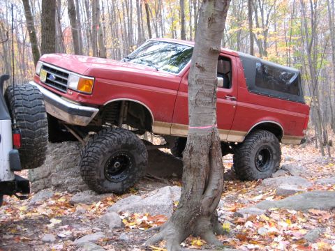 1990 Ford Bronco - This red 1990 Ford Bronco is shown off-roading over rocks in a wooded area.
