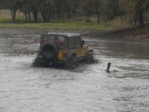 2001 Jeep Wrangler - A yellow 2001 Jeep Wrangler is stuck in a muddy area, with its rear end submerged.