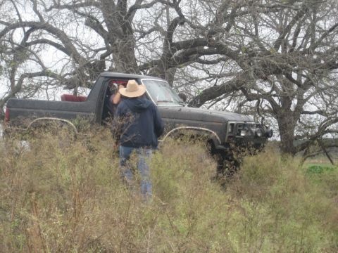 2001 Jeep Wrangler - A dark colored Ford Bronco II is partially obscured by vegetation and tree branches.