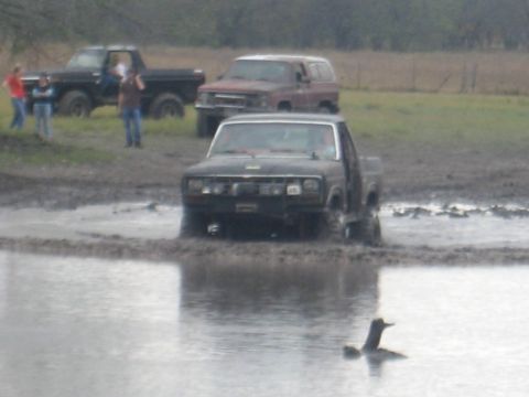2001 Jeep Wrangler - Multiple trucks navigate a muddy terrain, with one truck in the foreground and a duck in the water.