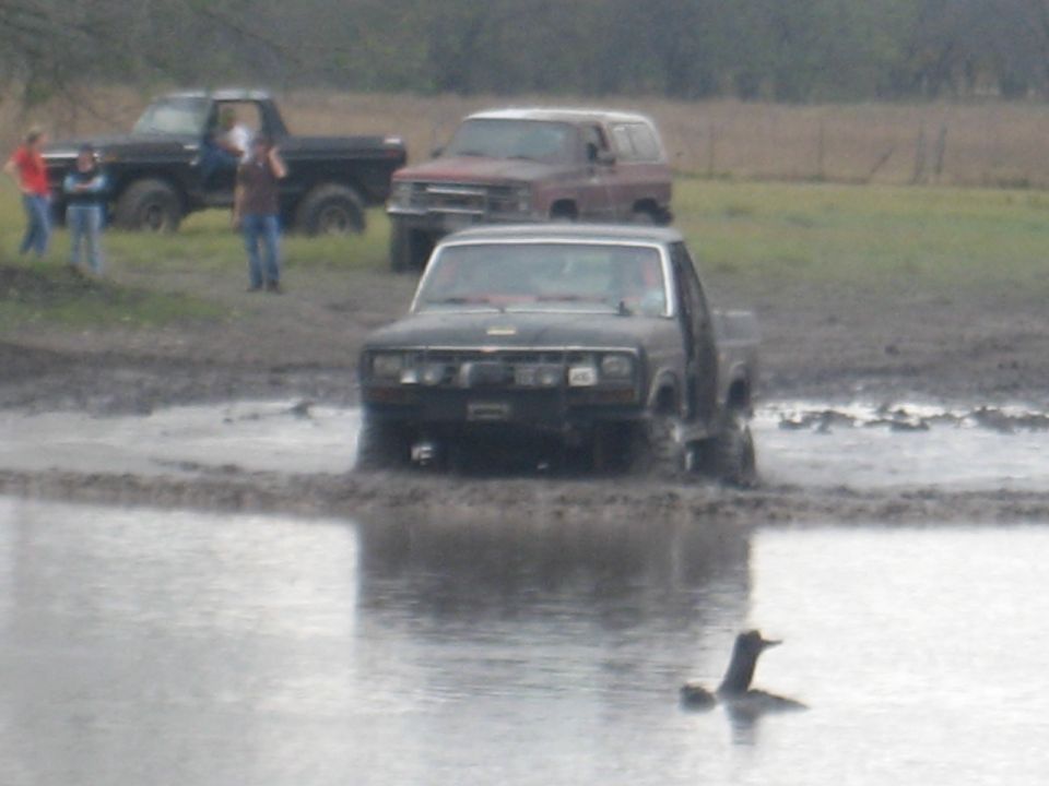 Black pickup truck driving through mud, front view. Duck swims in foreground