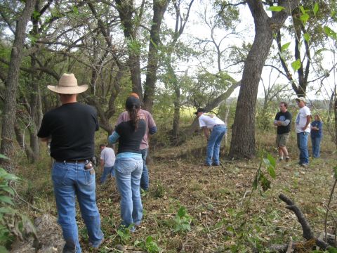 2001 Jeep Wrangler - A group of individuals are exploring a wooded area with trees and fallen leaves covering the ground.