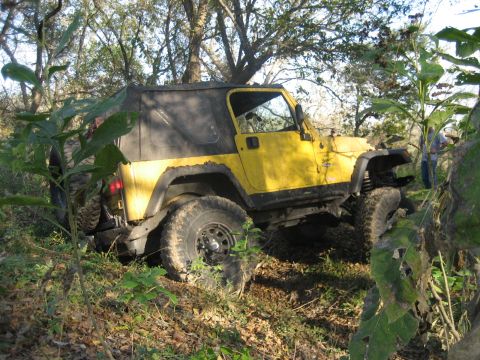 2001 Jeep Wrangler - A yellow 2001 Jeep Wrangler is seen off-road, partially obscured by foliage.