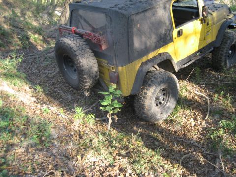 2001 Jeep Wrangler - Yellow 2001 Jeep Wrangler parked on a dirt path, equipped with a spare tire and a Hi-Lift jack.