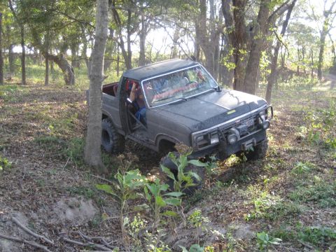 2001 Jeep Wrangler - This modified pickup truck is navigating a wooded area with uneven terrain.