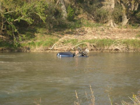 2001 Jeep Wrangler - A dark blue Jeep Wrangler is partially submerged in a river with its front end visible.