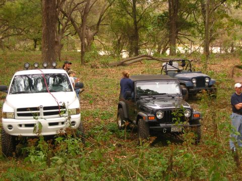 2001 Jeep Wrangler - A black 2001 Jeep Wrangler is parked in a wooded area alongside a white pickup truck and a blue Jeep.