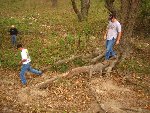 2001 Jeep Wrangler - Three men are walking through a wooded area with a large tree and exposed roots.