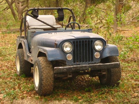 2001 Jeep Wrangler - This blue Jeep CJ is parked outdoors in a wooded area, showing its front grille, round headlights, and roll bar.