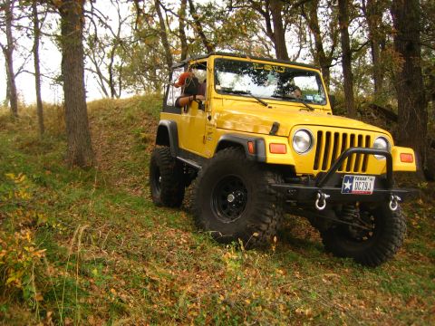 2001 Jeep Wrangler - Yellow 2001 Jeep Wrangler parked on a grassy incline in a wooded area.